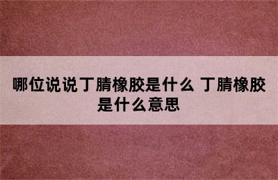 哪位说说丁腈橡胶是什么 丁腈橡胶是什么意思